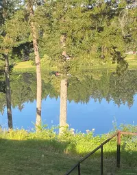 View 6