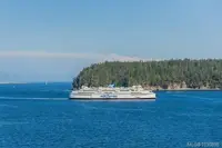 View 36