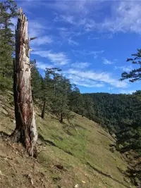 View 26
