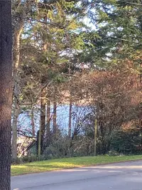 View 34