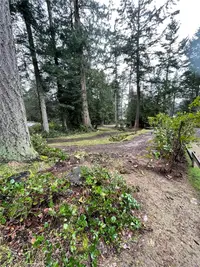 View 29