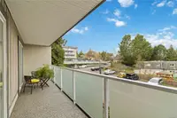 View 14