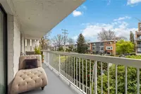 View 38