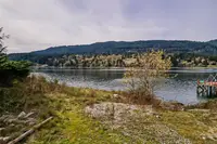 View 15