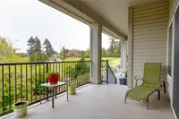 View 41