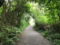 View 24