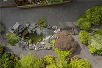 View 50