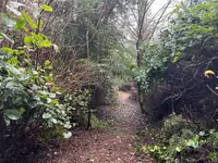 View 34