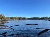 View 14