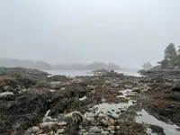 View 31