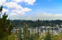 View 23