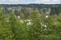View 26