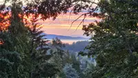View 46