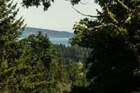 View 43