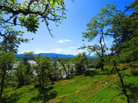View 74