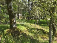 View 78