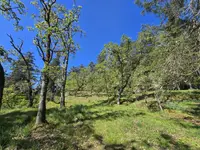 View 79