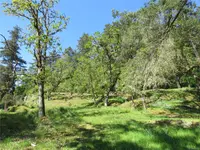 View 73