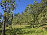 View 84