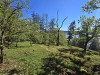 View 85