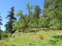 View 72