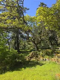 View 83