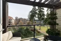 View 15