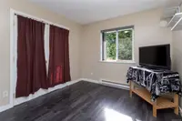 View 15