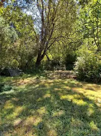 View 14