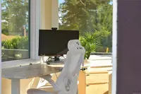 View 18