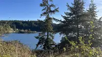View 14