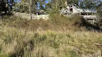 View 11