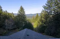 View 49
