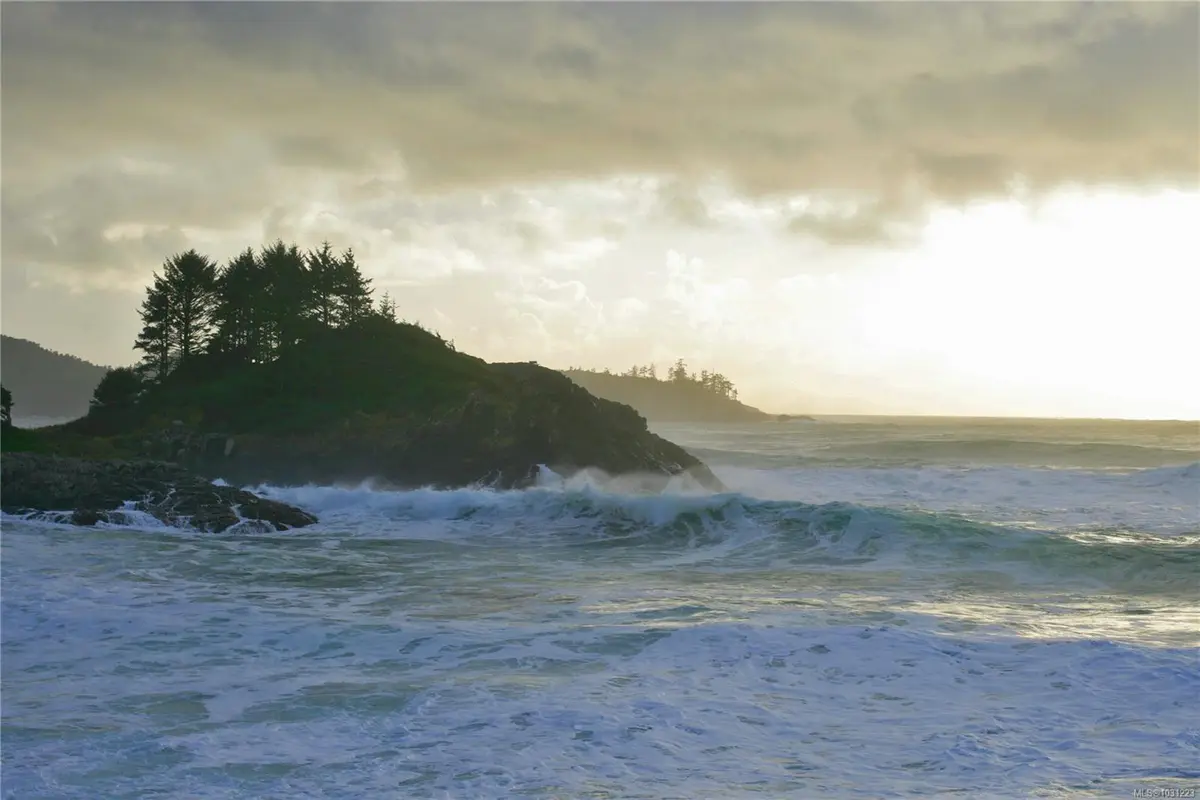 871 Moser Pl, Tofino BC V0R 2Z0
