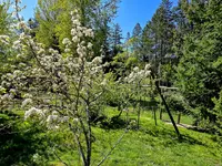 View 39