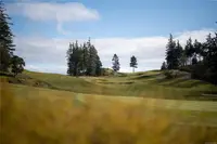 View 50