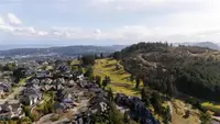 View 60