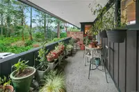 View 42