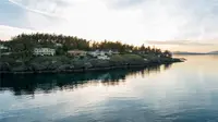 View 85