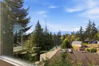 View 41