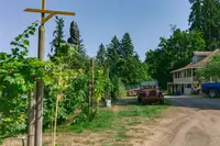 View 47