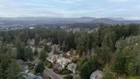 View 56