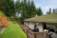 View 50