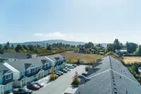 View 49