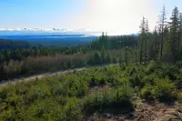 View 16