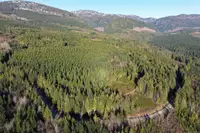 View 12