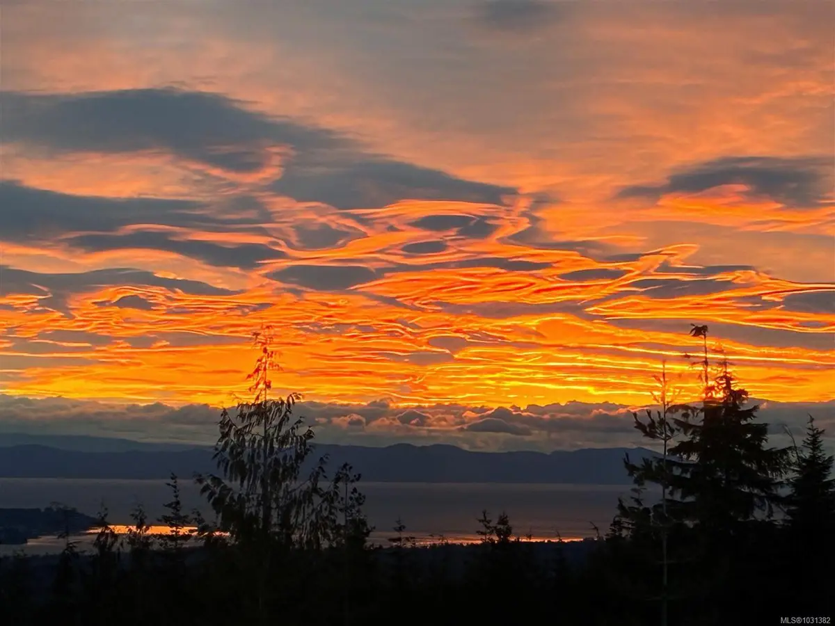 LOT B Forbidden Plateau Rd, Courtenay BC V9J 1L2