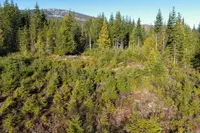 View 14