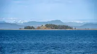 View 52