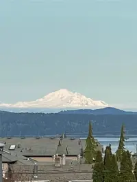 View 56